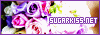 Sugarkiss